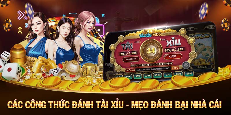 Keo Chau A Euro Đăng Ký - Cách chơi soi cầu hiệu quả nhất Keo Chau A Euro Đăng Ký - Cách chơi soi cầu hiệu quả nhất